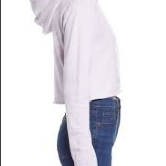 WildFox Pasé the Rosé Ivy Hoodie - Picture 2 of 8